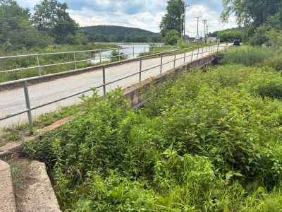 Bridge Railing
