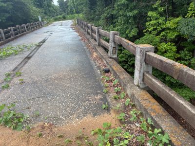 Bridge Deck